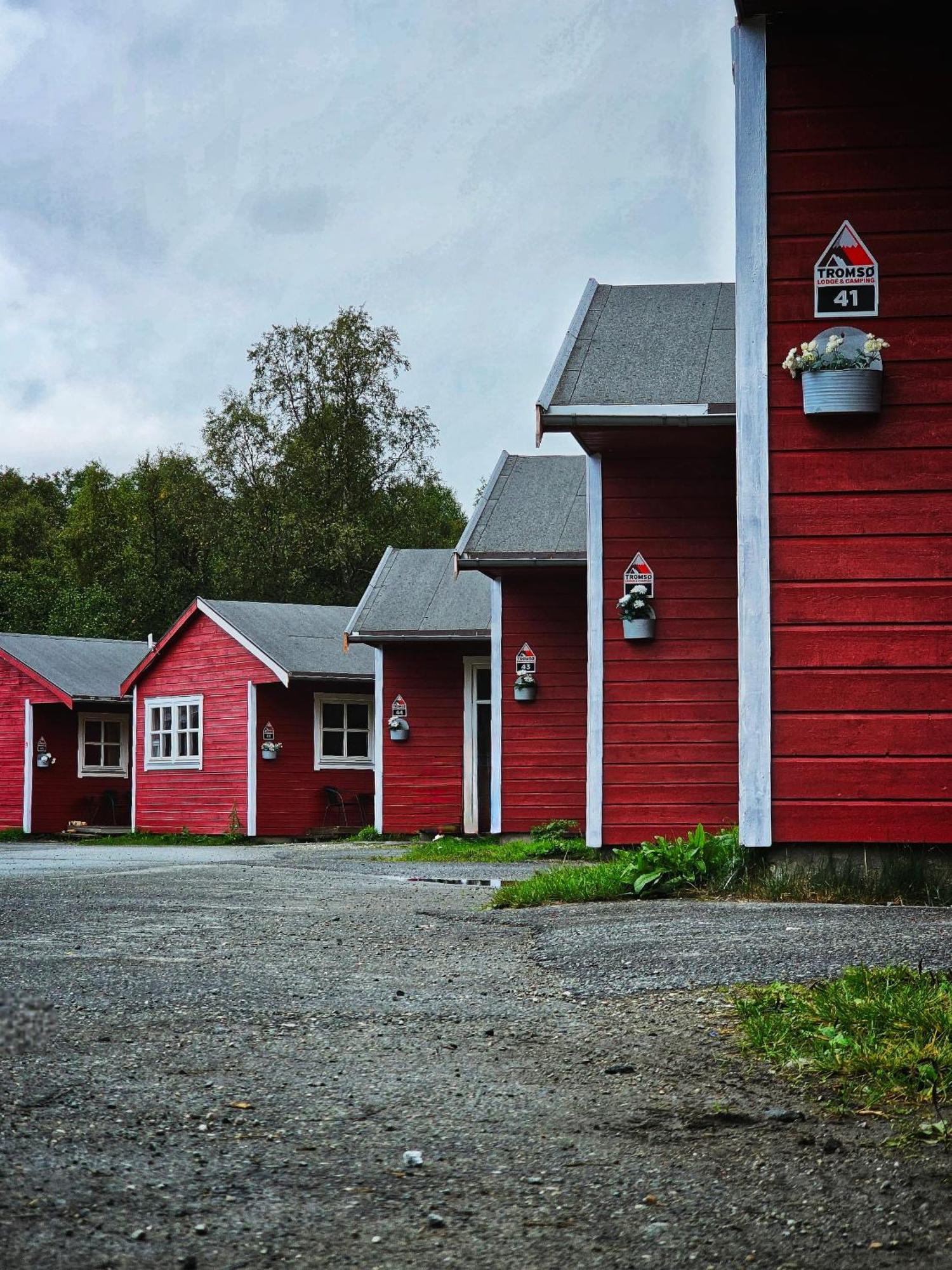 Tromso Lodge & Camping מראה חיצוני תמונה